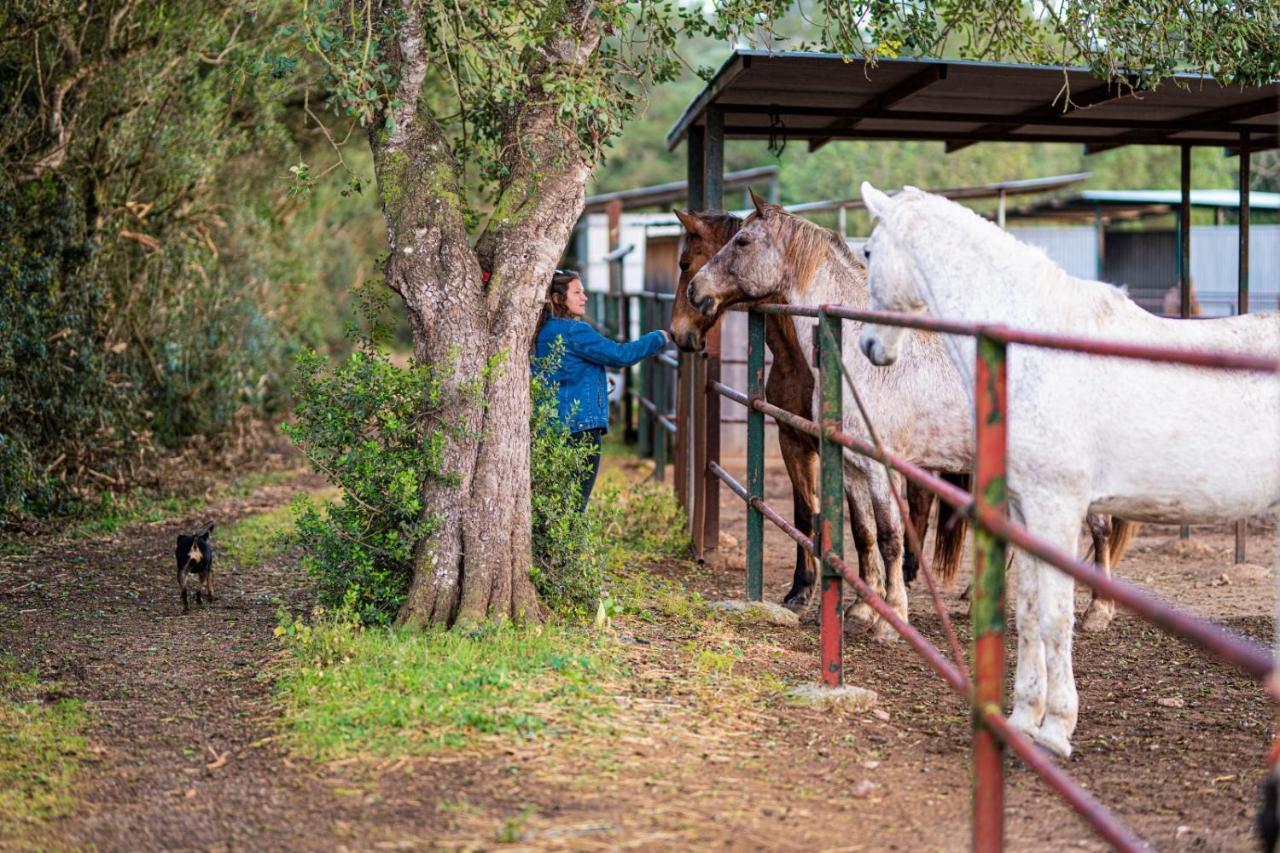 Finca Agroturismo Son Menut Феланитс Екстериор снимка