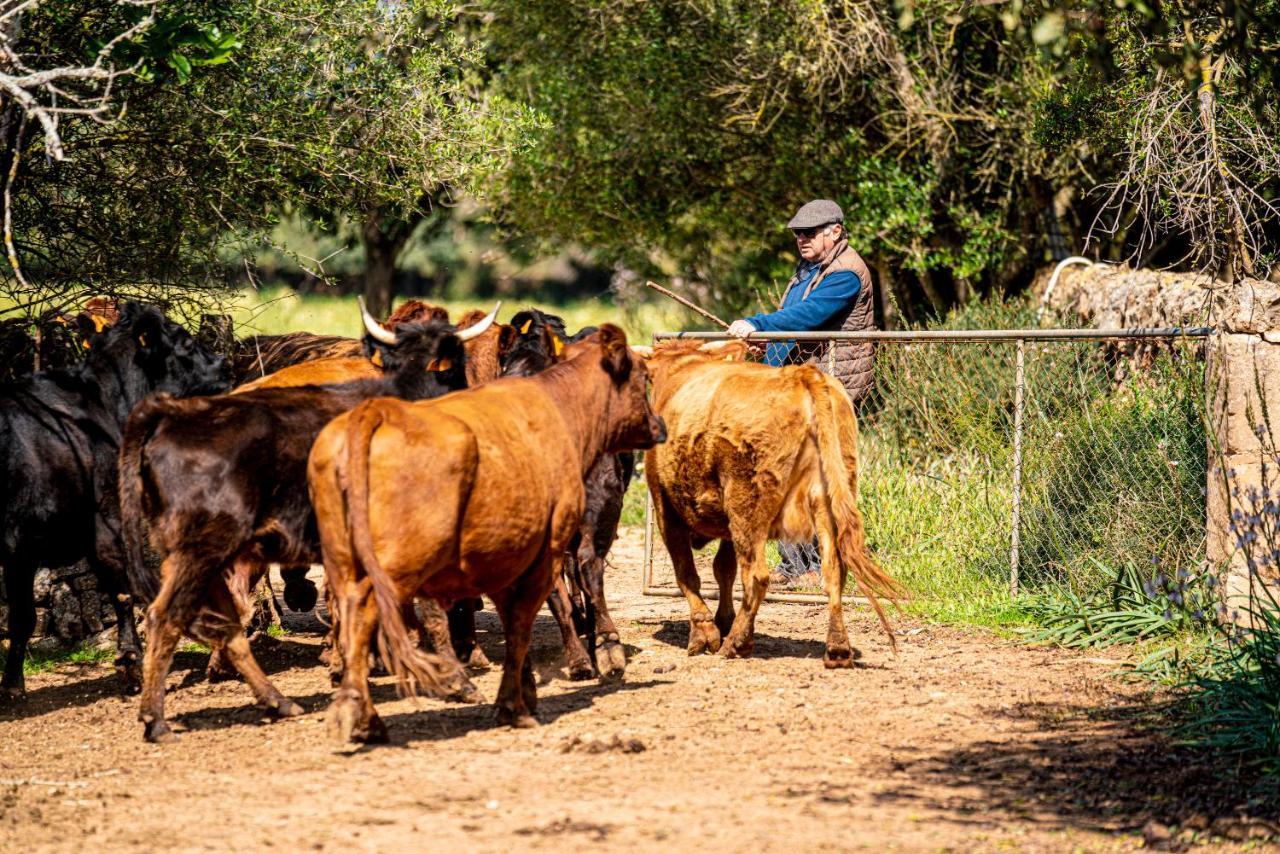 Finca Agroturismo Son Menut Феланитс Екстериор снимка