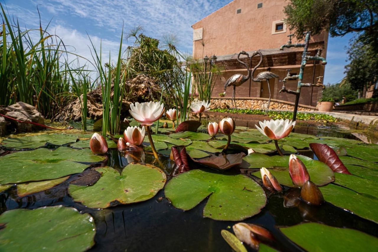 Finca Agroturismo Son Menut Феланитс Екстериор снимка