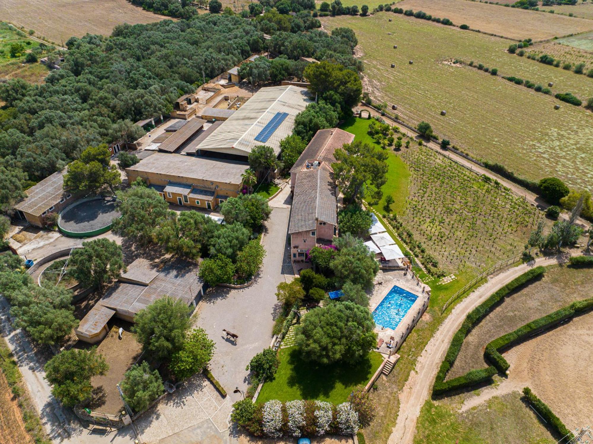 Finca Agroturismo Son Menut Феланитс Екстериор снимка
