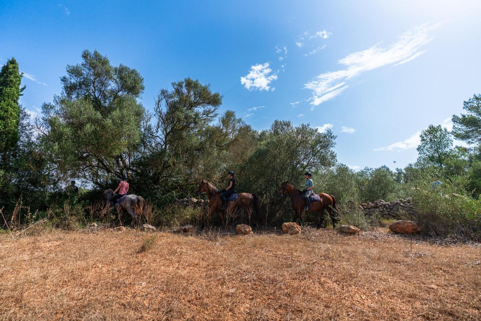 Finca Agroturismo Son Menut Феланитс Екстериор снимка