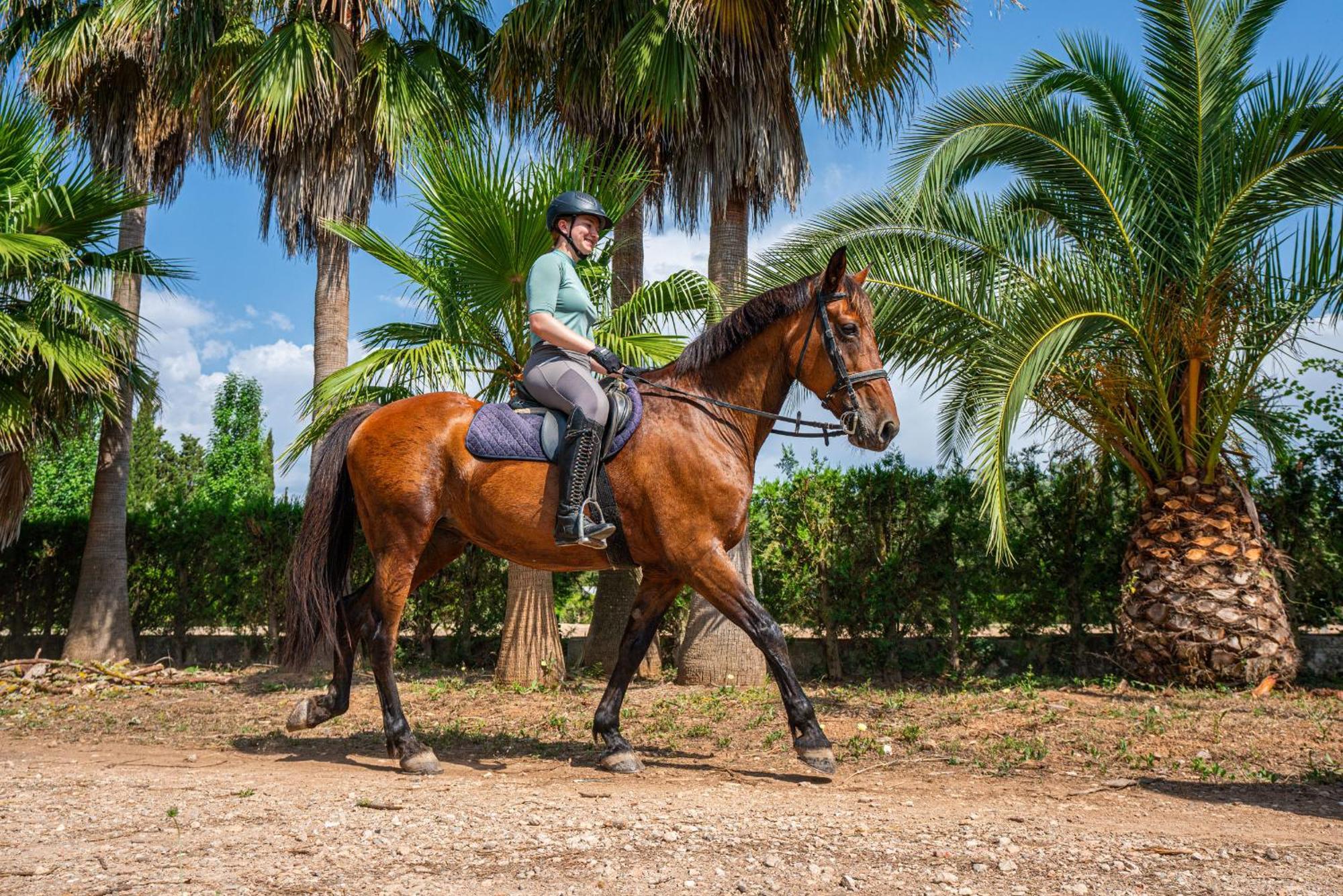 Finca Agroturismo Son Menut Феланитс Екстериор снимка